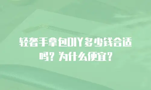 轻奢手拿包DIY多少钱合适吗？为什么便宜？