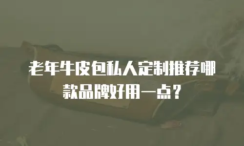 老年牛皮包私人定制推荐哪款品牌好用一点？