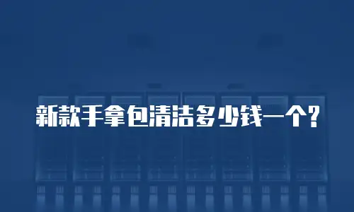 新款手拿包清洁多少钱一个?