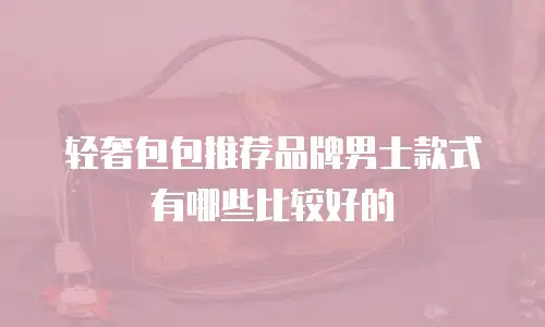 轻奢包包推荐品牌男士款式有哪些比较好的