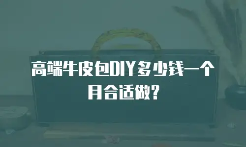 高端牛皮包DIY多少钱一个月合适做？