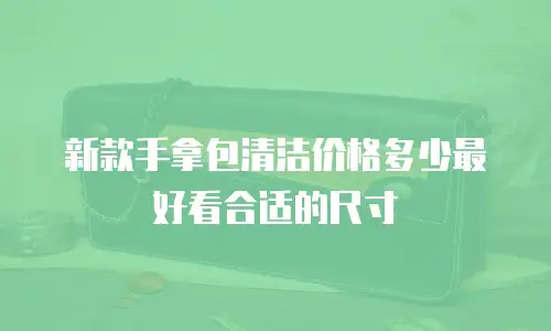 新款手拿包清洁价格多少最好看合适的尺寸