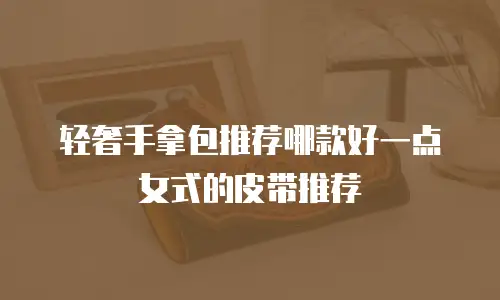 轻奢手拿包推荐哪款好一点女式的皮带推荐
