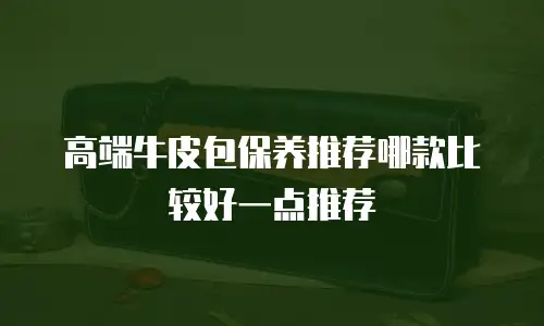 高端牛皮包保养推荐哪款比较好一点推荐