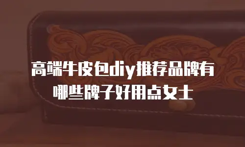 高端牛皮包diy推荐品牌有哪些牌子好用点女士