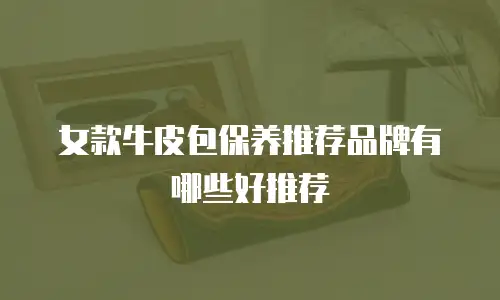女款牛皮包保养推荐品牌有哪些好推荐