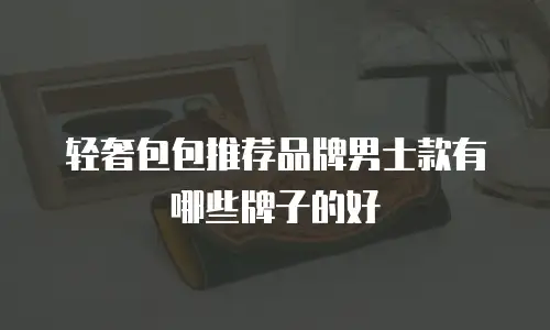 轻奢包包推荐品牌男士款有哪些牌子的好
