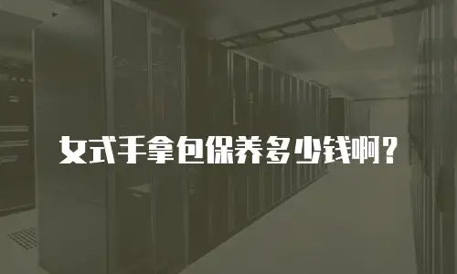女式手拿包保养多少钱啊？