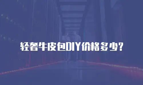 轻奢牛皮包DIY价格多少？