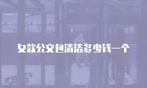 女款公文包清洁多少钱一个