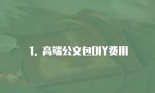 1. 高端公文包DIY费用