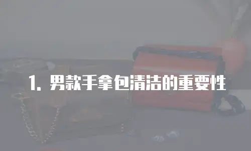1. 男款手拿包清洁的重要性