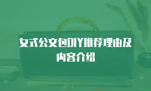 女式公文包DIY推荐理由及内容介绍