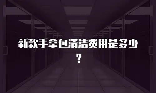 新款手拿包清洁费用是多少？