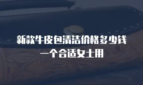 新款牛皮包清洁价格多少钱一个合适女士用