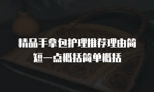 精品手拿包护理推荐理由简短一点概括简单概括