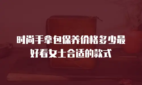 时尚手拿包保养价格多少最好看女士合适的款式