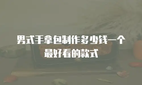 男式手拿包制作多少钱一个最好看的款式