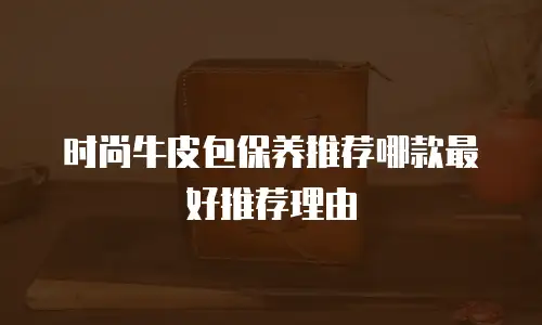 时尚牛皮包保养推荐哪款最好推荐理由