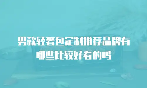 男款轻奢包定制推荐品牌有哪些比较好看的吗