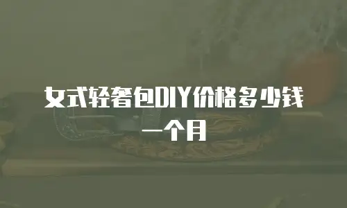 女式轻奢包DIY价格多少钱一个月
