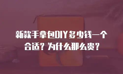 新款手拿包DIY多少钱一个合适？为什么那么贵？