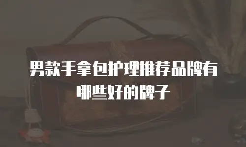 男款手拿包护理推荐品牌有哪些好的牌子