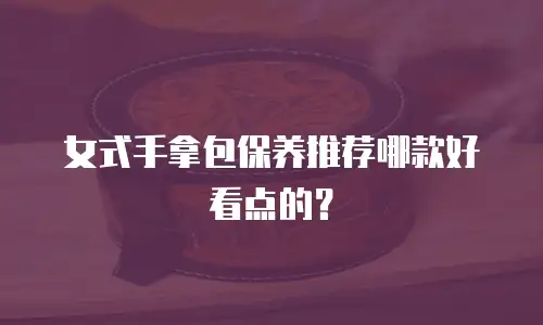 女式手拿包保养推荐哪款好看点的？