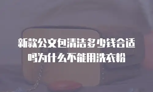 新款公文包清洁多少钱合适吗为什么不能用洗衣粉