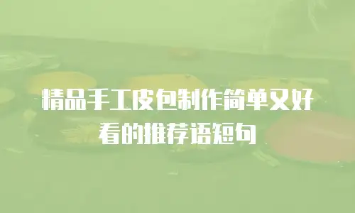 精品手工皮包制作简单又好看的推荐语短句