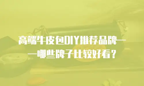 高端牛皮包DIY推荐品牌&mdash;&mdash;哪些牌子比较好看？