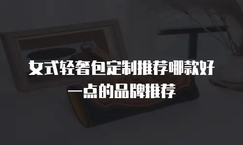 女式轻奢包定制推荐哪款好一点的品牌推荐