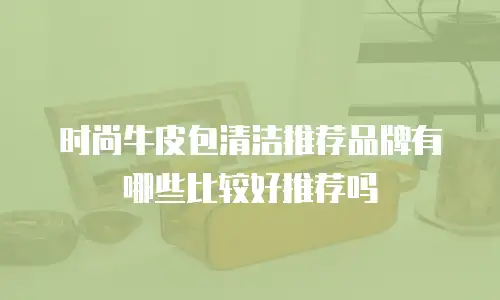 时尚牛皮包清洁推荐品牌有哪些比较好推荐吗