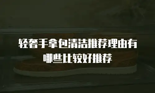 轻奢手拿包清洁推荐理由有哪些比较好推荐