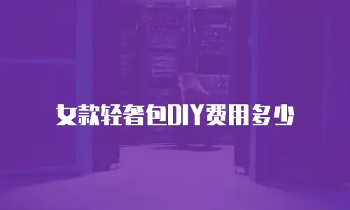女款轻奢包DIY费用多少