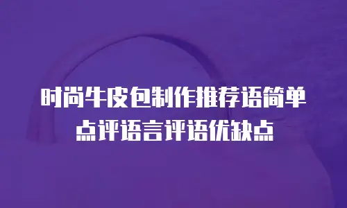 时尚牛皮包制作推荐语简单点评语言评语优缺点