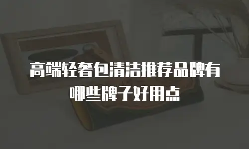 高端轻奢包清洁推荐品牌有哪些牌子好用点