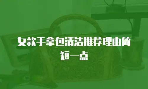 女款手拿包清洁推荐理由简短一点