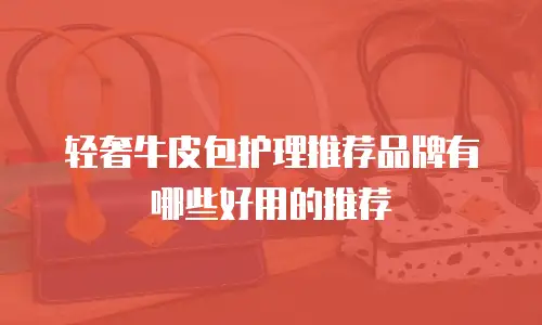 轻奢牛皮包护理推荐品牌有哪些好用的推荐