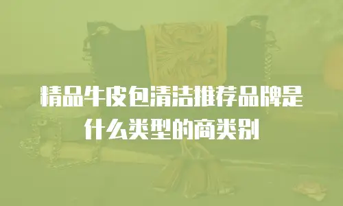 精品牛皮包清洁推荐品牌是什么类型的商类别