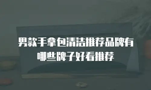 男款手拿包清洁推荐品牌有哪些牌子好看推荐