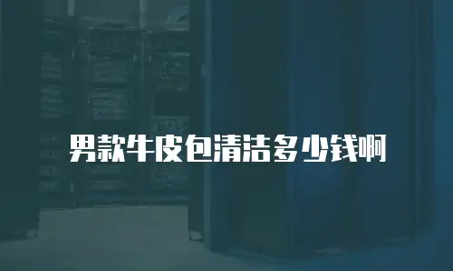 男款牛皮包清洁多少钱啊