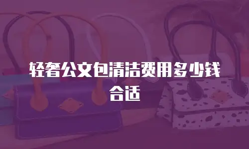 轻奢公文包清洁费用多少钱合适