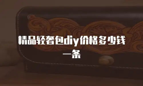 精品轻奢包diy价格多少钱一条