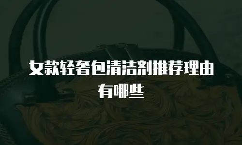 女款轻奢包清洁剂推荐理由有哪些