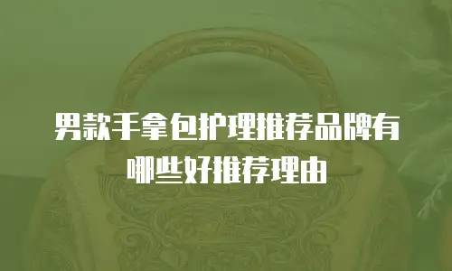 男款手拿包护理推荐品牌有哪些好推荐理由