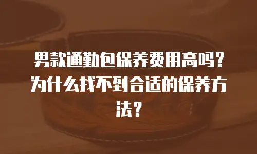 男款通勤包保养费用高吗？为什么找不到合适的保养方法？