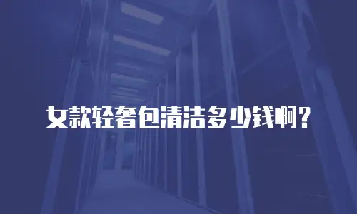 女款轻奢包清洁多少钱啊？