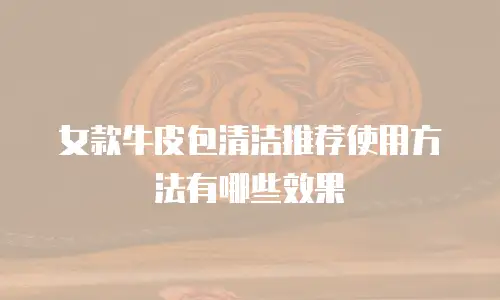 女款牛皮包清洁推荐使用方法有哪些效果