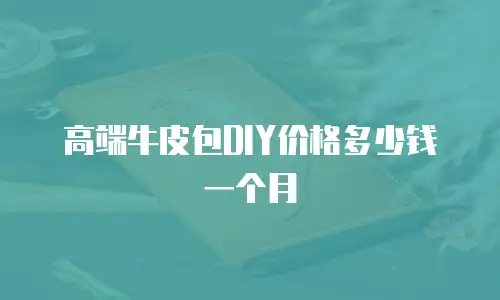 高端牛皮包DIY价格多少钱一个月